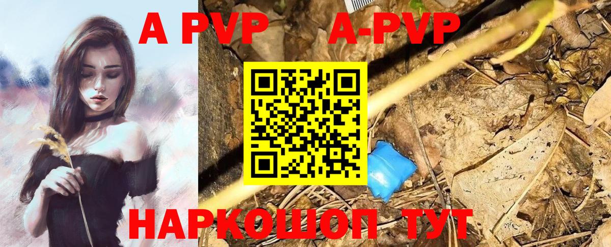 А ПВП СК  Вход с VPN  Альфа ПВП СК КРИС  Alpha-PVP  Бердск 