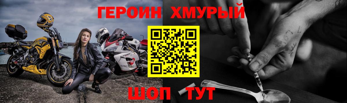 ГЕРОИН хмурый Бердск