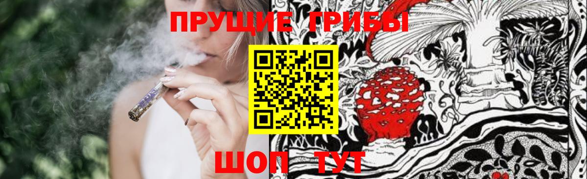 Псилоцибиновые грибы мухоморы  Галлюциногенные грибы GOLDEN TEACHER  Бердск  Вход с VPN 
