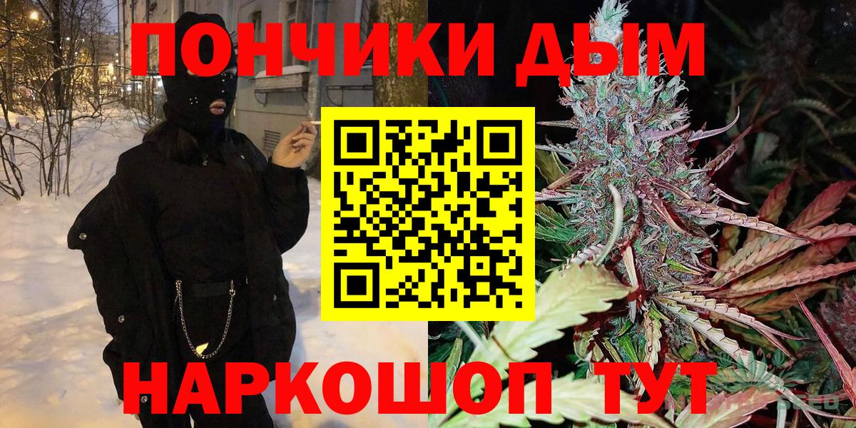 Бошки Шишки планчик  Бошки Шишки Amnesia  Бердск  Вход с VPN  Бошки Шишки семена 
