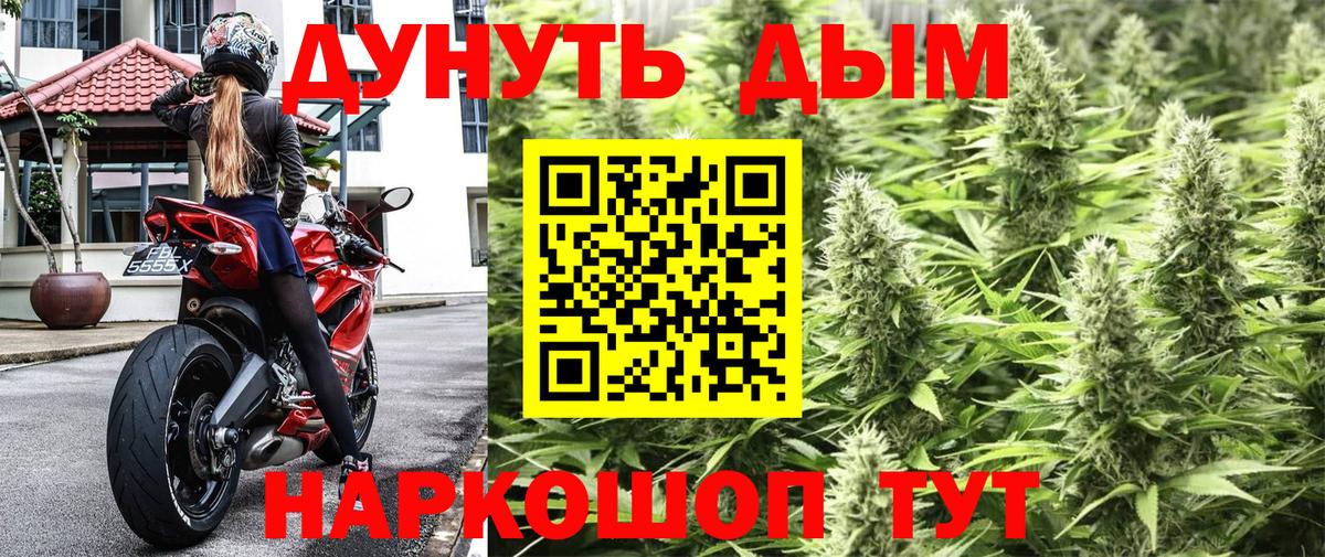Шишки марихуана White Widow Бердск
